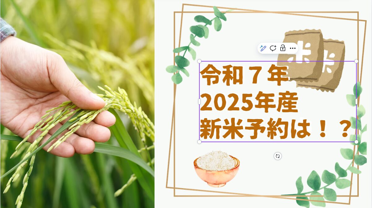 令和7年（2025年）の新米の予約状況は？ページの画像