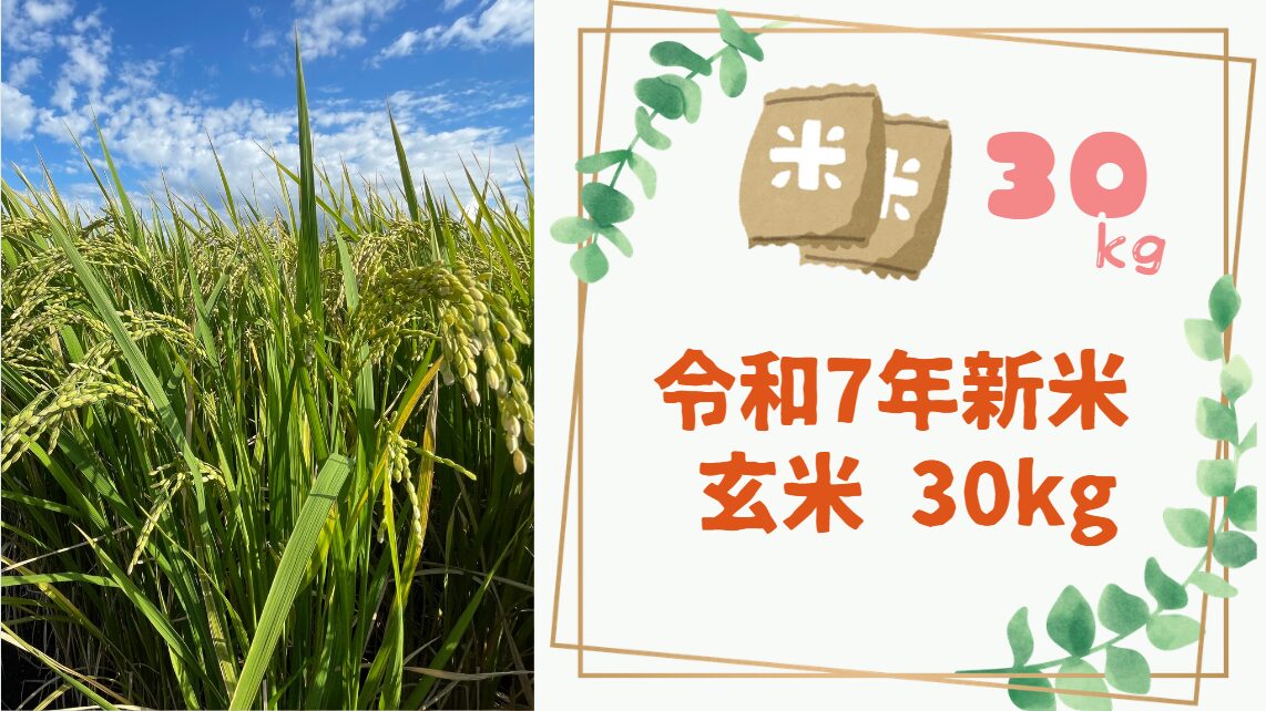 Amazonで売れている玄米30kg（令和7年産新米）